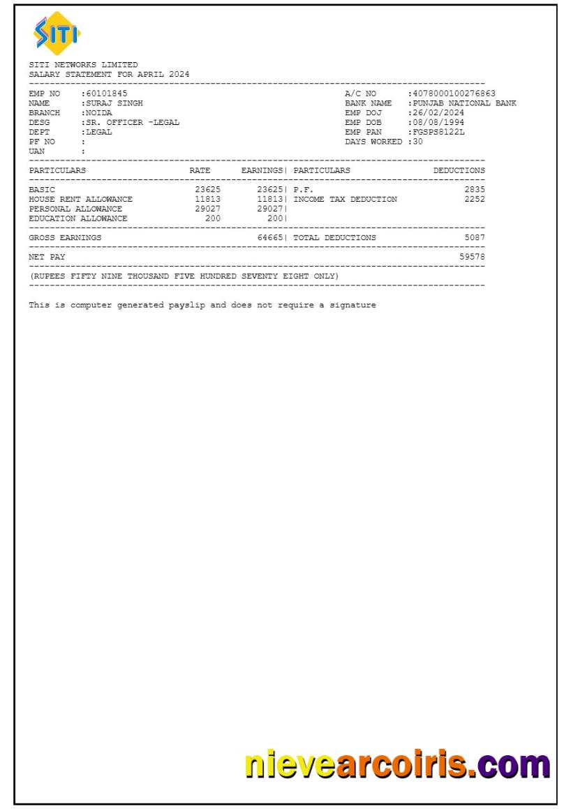 Siti Networks payslip